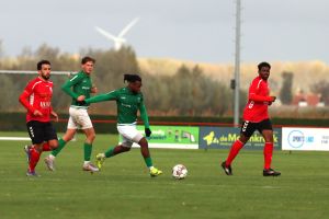 fotoalbums/1761472795_img-8340