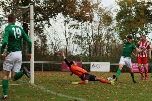 fotoalbums/1762081486_img-8669