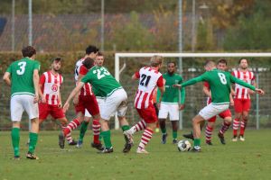 fotoalbums/1762081488_img-8753