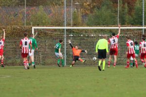 fotoalbums/1762081488_img-8759