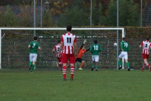 fotoalbums/1762081489_img-8820