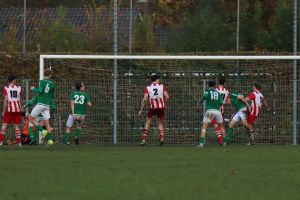 fotoalbums/1762081490_img-8907