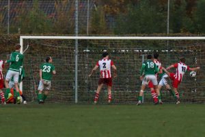 fotoalbums/1762081490_img-8908