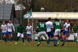 fotoalbums/1764499748_img-0342