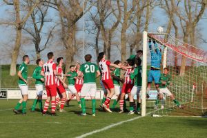 fotoalbums/1774178845_img-4941