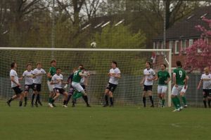 fotoalbums/1775986138_img-5308