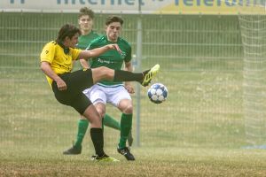 fotoalbums/finale-7-