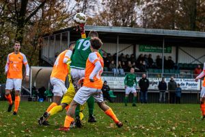 fotoalbums/zaamslag-patrijzen-25-11-23-34-