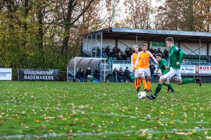 fotoalbums/zaamslag-patrijzen-25-11-23-56-