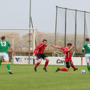 fotoalbums/1761472793_img-8218