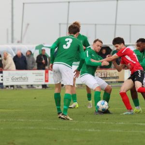 fotoalbums/1761472794_img-8282