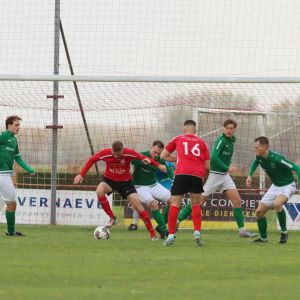 fotoalbums/1761472795_img-8318