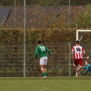 fotoalbums/1762081487_img-8688