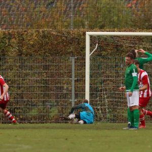 fotoalbums/1762081487_img-8691