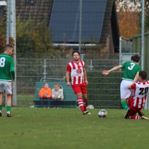 fotoalbums/1762081488_img-8739