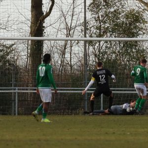 fotoalbums/1770547922_img-3498