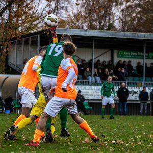 fotoalbums/zaamslag-patrijzen-25-11-23-34-