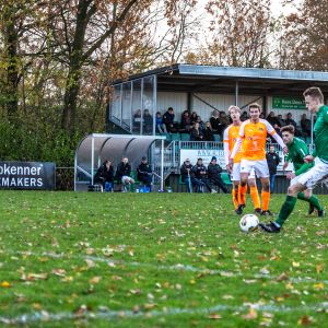 fotoalbums/zaamslag-patrijzen-25-11-23-56-