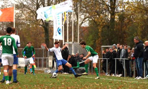 Groen-witten heer en meester tegen laagvlieger Nieuwland
