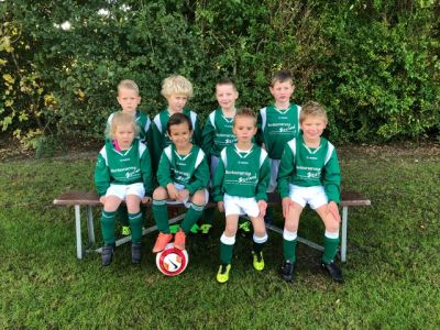 Zaamslag Mini's